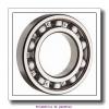 Backing ring K85588-90010        Rolamentos APTM para aplicações industriais #1 small image